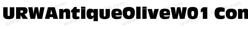 URWAntiqueOliveW01 CompctIt Regular字体转换